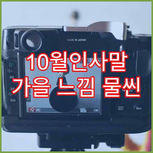 10월인사말 가을 느낌 물씬 나는 문자·카톡 문구 모음