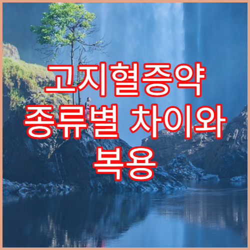 고지혈증약 종류별 차이와 복용 시 꼭 알아야 할 점
