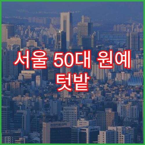 서울 50대 원예 텃밭 키우기 강좌
