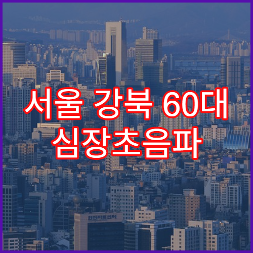 서울 강북 60대 심장초음파 검진 비용