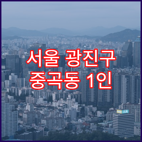 서울 광진구 중곡동 1인 기준 한 달 생활비 계산