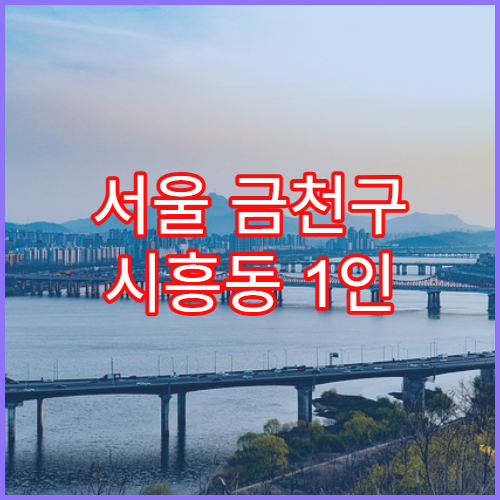 서울 금천구 시흥동 1인 기준 한 달 생활비 기준