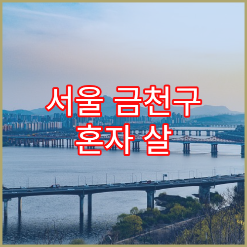 서울 금천구 혼자 살 때 필요한 생활비·교통비 정리