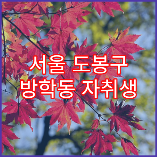 서울 도봉구 방학동 자취생 생활비·공과금 체감