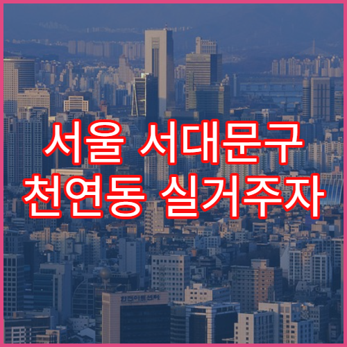서울 서대문구 천연동 실거주자 생활비 총정리