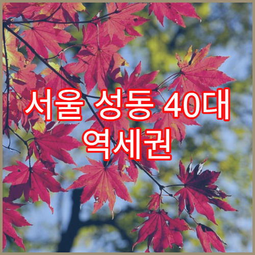 서울 성동 40대 역세권 아파트 투자 수익률