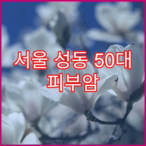 서울 성동 50대 피부암 검진 병원 리스트