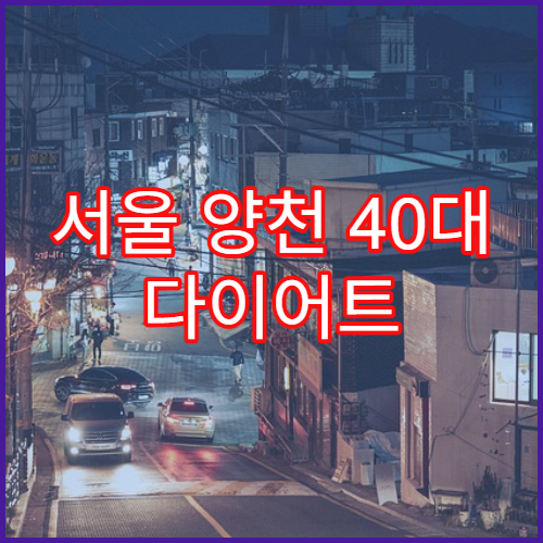 서울 양천 40대 다이어트 샐러드 바