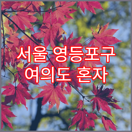 서울 영등포구 여의도 혼자 살 때 한 달 생활비 기준