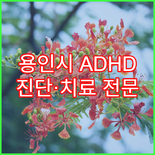 용인시 ADHD 진단·치료 전문 정신과 병원 추천