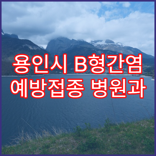 용인시 B형간염 예방접종 병원과 접종 시기 안내