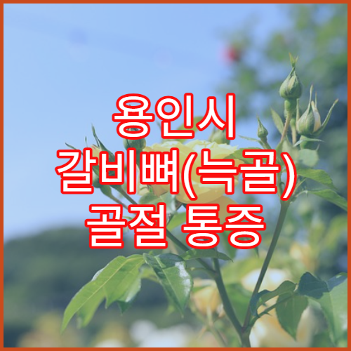 용인시 갈비뼈(늑골) 골절 통증 치료 병원