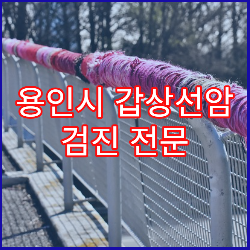 용인시 갑상선암 검진 전문 병원 및 검사절차 소개