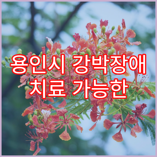 용인시 강박장애 치료 가능한 정신건강의학과 병원