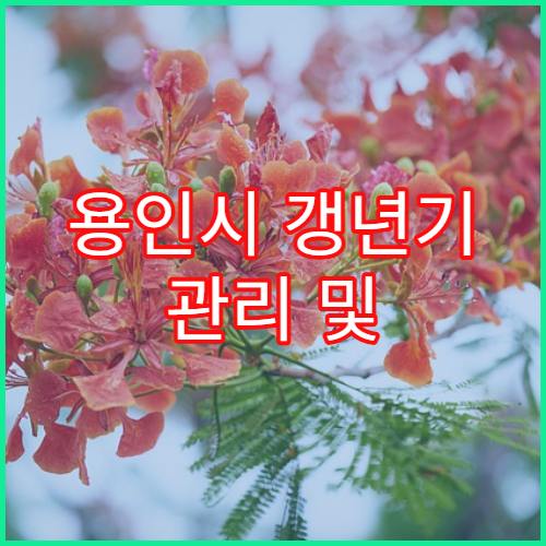 용인시 갱년기 관리 및 여성 한방 전문 진료 한의원