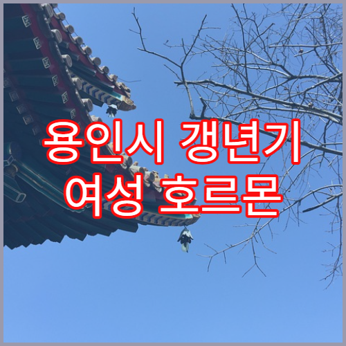 용인시 갱년기 여성 호르몬 상담 가능 병원