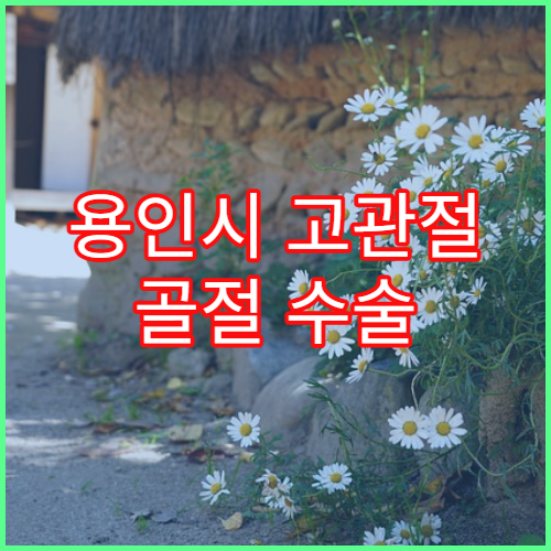 용인시 고관절 골절 수술 및 재활 병원
