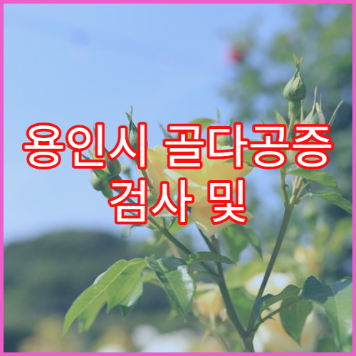 용인시 골다공증 검사 및 치료 전문 병원