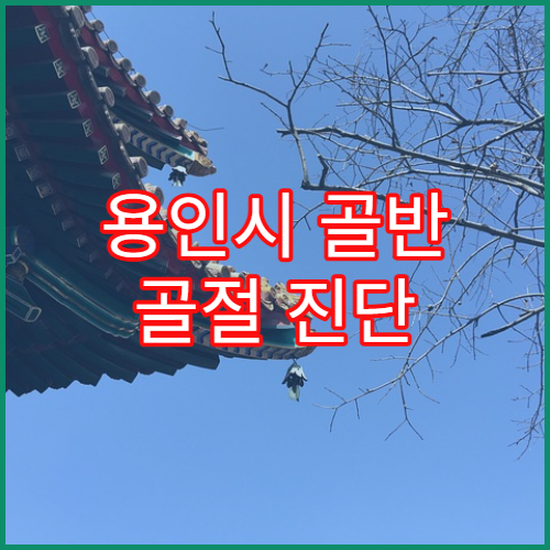 용인시 골반 골절 진단 및 수술 병원 정보