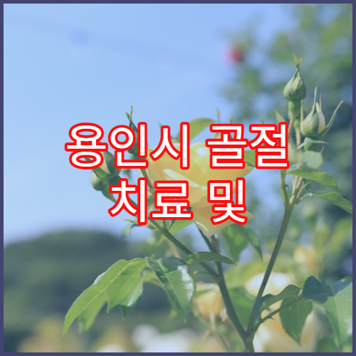 용인시 골절 치료 및 물리치료센터 병원 안내