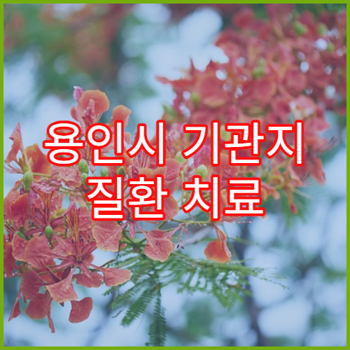 용인시 기관지 질환 치료 잘하는 호흡기내과 병원