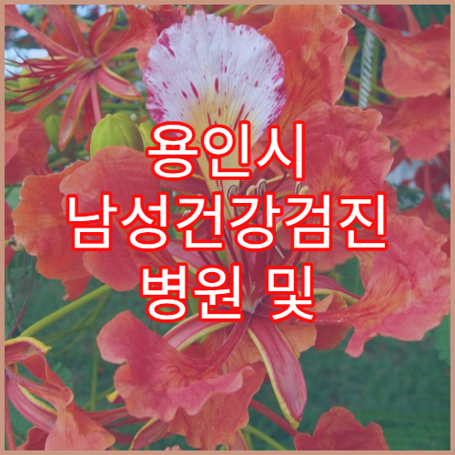 용인시 남성건강검진 병원 및 검사비용 안내