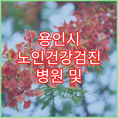 용인시 노인건강검진 병원 및 정부지원 혜택 안내