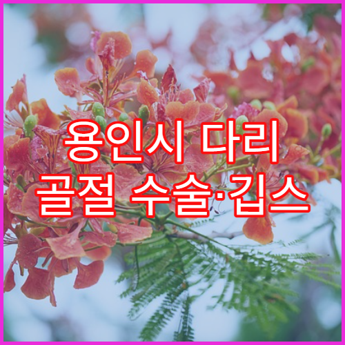 용인시 다리 골절 수술·깁스 치료 병원