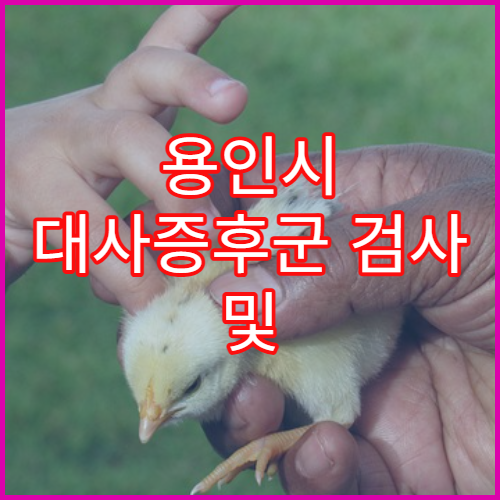 용인시 대사증후군 검사 및 체중관리 클리닉