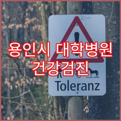 용인시 대학병원 건강검진 프로그램 안내