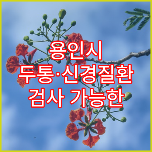 용인시 두통·신경질환 검사 가능한 신경과 병원