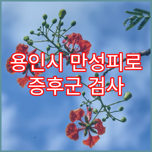 용인시 만성피로 증후군 검사 및 회복 클리닉