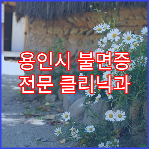 용인시 불면증 전문 클리닉과 생활습관 개선법