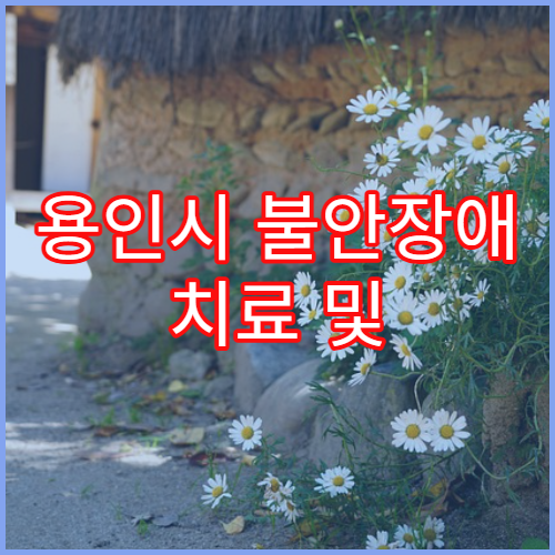 용인시 불안장애 치료 및 심리상담 제공 병원 안내