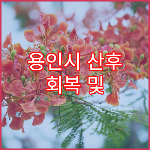 용인시 산후 회복 및 한방 보약 처방 잘하는 한의원