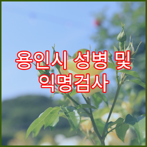 용인시 성병 및 익명검사 가능한 병원 추천