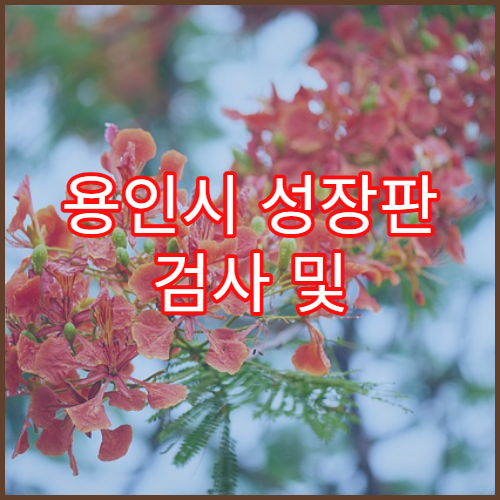 용인시 성장판 검사 및 어린이 성장 진료 전문 한의원