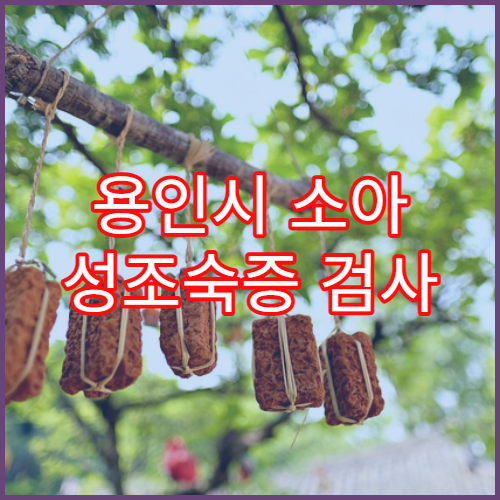 용인시 소아 성조숙증 검사 및 성장치료 병원