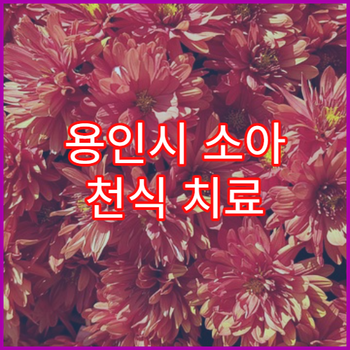 용인시 소아 천식 치료 및 알레르기검사 병원