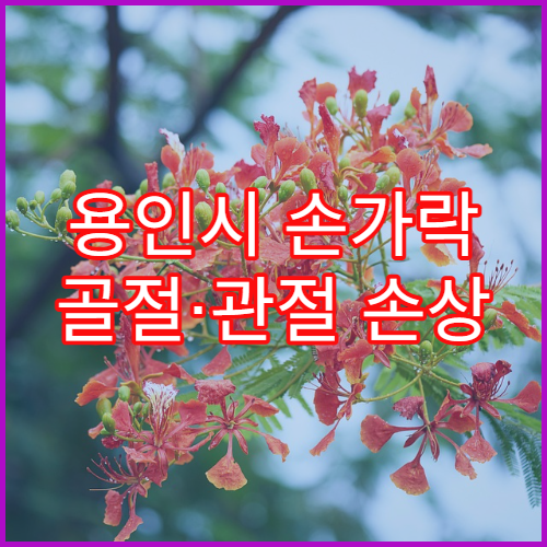 용인시 손가락 골절·관절 손상 치료 병원
