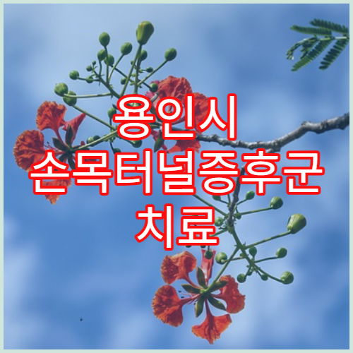 용인시 손목터널증후군 치료 병원 추천