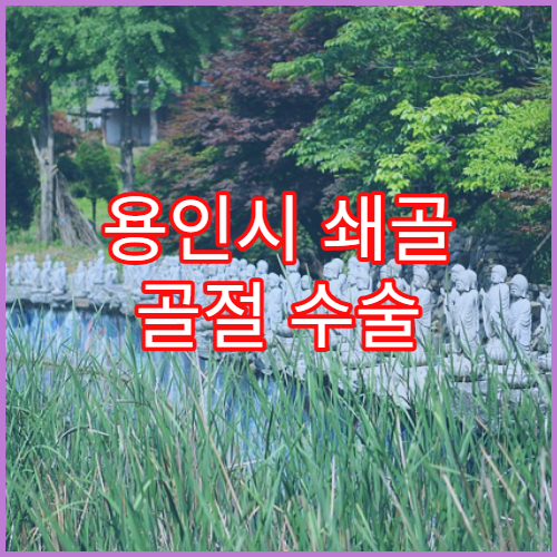 용인시 쇄골 골절 수술 및 회복 클리닉