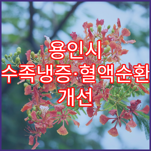 용인시 수족냉증·혈액순환 개선 치료 병원