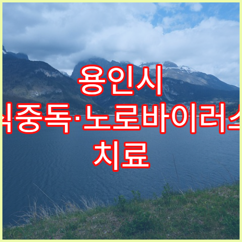 용인시 식중독·노로바이러스 치료 병원