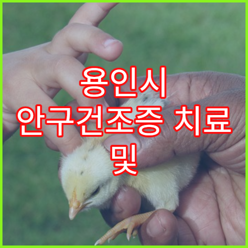용인시 안구건조증 치료 및 눈 건강검진 병원