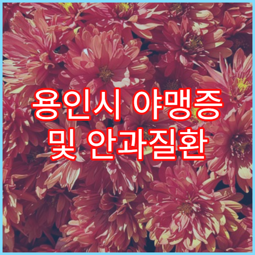 용인시 야맹증 및 안과질환 검사 병원