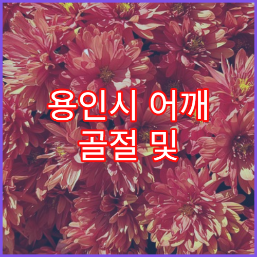 용인시 어깨 골절 및 재활치료 병원 정보