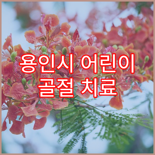 용인시 어린이 골절 치료 소아정형외과 병원