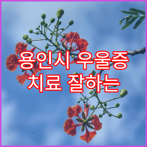 용인시 우울증 치료 잘하는 정신과 병원 추천