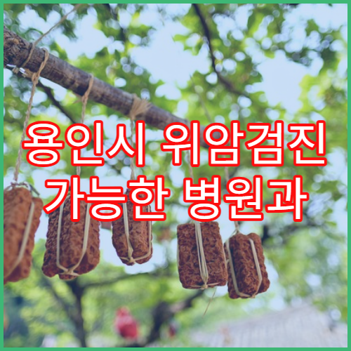 용인시 위암검진 가능한 병원과 검사비용 안내